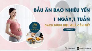 Bầu ăn bao nhiêu yến 1 ngày, 1 tuần: Cách dùng hiệu quả nhất