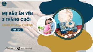 Mẹ bầu ăn yến 3 tháng cuối: Các lợi ích và lưu ý khi dùng