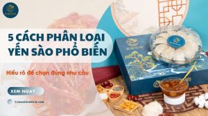 5 cách phân loại yến sào phổ biến: Hiểu rõ để chọn đúng nhu cầu