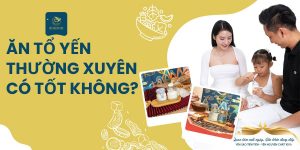 Ăn tổ Yến thường xuyên có tốt không (Kiến thức toàn diện)