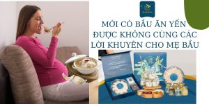 Mới có bầu ăn yến được không? Cùng những lời khuyên thiết thực