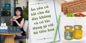 Ăn yến có tốt cho dạ dày không và có tác dụng gì với hệ tiêu hoá