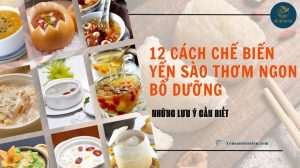 12 cách chế biến yến sào thơm ngon, bổ dưỡng và lưu ý cần biết