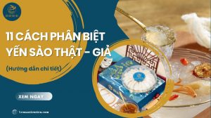 11 cách phân biệt yến sào thật - giả chuẩn xác (Hướng dẫn chi tiết)