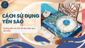 Cách sử dụng yến sào: Hướng dẫn chi tiết để đạt hiệu quả tốt nhất