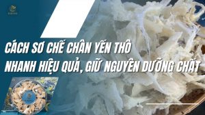 Cách sơ chế chân yến thô nhanh hiệu quả, giữ nguyên dưỡng chất