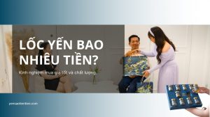 Lốc yến bao nhiêu tiền và kinh nghiệm mua giá tốt, chất lượng
