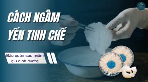 Cách ngâm yến tinh chế và bảo quản giữ trọn dưỡng chất