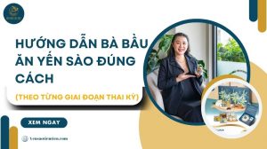Hướng dẫn bà bầu ăn yến sào đúng cách (Theo từng giai đoạn)