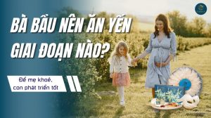 Bà bầu nên ăn yến giai đoạn nào để mẹ khoẻ, con phát triển tốt