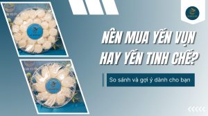 Nên mua yến vụn hay yến tinh chế? So sánh và gợi ý cho bạn