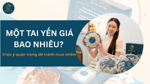 1 tai yến giá bao nhiêu? 5 lưu ý quan trọng để tránh mua nhầm