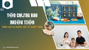 Yến chưng bao nhiêu tiền: Bảng giá và những yếu tố quyết định