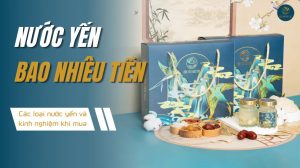 Nước yến bao nhiêu tiền: Các loại nước yến và kinh nghiệm mua