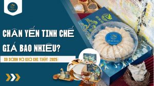 Chân yến tinh chế giá bao nhiêu? So sánh và giá chi tiết (2025)