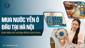 Mua nước yến ở đâu Hà Nội: Các tiêu chí và địa điểm lựa chọn
