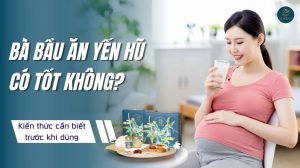 Bà bầu ăn yến hũ có tốt không? Kiến thức cần biết trước khi dùng