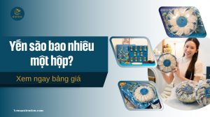 Yến sào bao nhiêu một hộp? Xem ngay bảng giá và phân loại