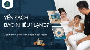 Yến sạch bao nhiêu 1 lạng? Cách chọn đúng sản phẩm chất lượng
