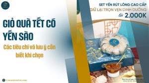 Giỏ quà Tết có yến sào: Các tiêu chí và lưu ý cần biết khi chọn