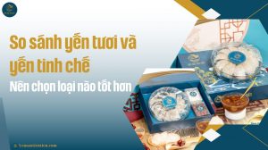 So sánh yến tươi và yến tinh chế: Nên chọn loại nào tốt hơn