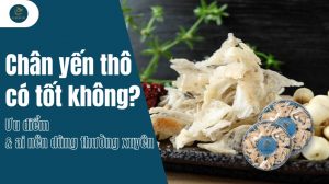 Chân yến thô có tốt không? Ưu điểm và ai nên dùng thường xuyên