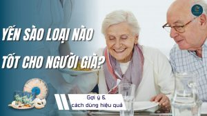 Yến sào loại nào tốt cho người già? Gợi ý và cách dùng hiệu quả