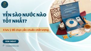 Yến sào nước nào tốt nhất? 4 lưu ý để chọn yến chuẩn chất lượng