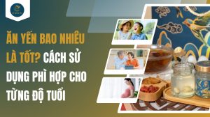 Ăn yến bao nhiêu là tốt? Cách sử dụng phì hợp cho từng độ tuổi