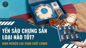 Yến sào chưng sẵn loại nào tốt? Kinh nghiệm lựa chọn chất lượng