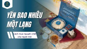 Yến bao nhiêu một lạng? Cách mua yến nguyên chất chính xác