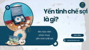 Yến tinh chế sợi là gì? Khi nào bạn nên chọn mua yến tinh chế sợi