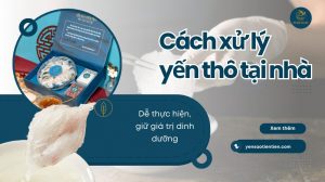 Cách xử lý yến thô tại nhà sạch đơn giản, giữ giá trị dinh dưỡng