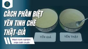 Cách phân biệt yến tinh chế thật giả: Kinh nghiệm nhận biết chuẩn