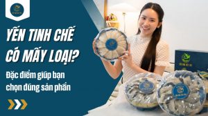 Yến tinh chế có mấy loại? Đặc điểm giúp bạn chọn đúng sản phẩm
