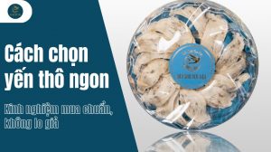 Cách chọn yến thô ngon: Kinh nghiệm mua yến chuẩn không lo giả