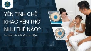 Yến tinh chế khác yến thô thế nào? So sánh chi tiết và toàn diện