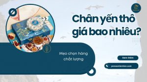 Chân yến thô giá bao nhiêu? Thông tin, mẹo chọn hàng chất lượng
