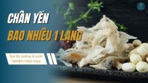 Chân yến bao nhiêu 1 lạng? Giá thị trường, kinh nghiệm chọn mua