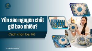 Tìm hiểu yến sào nguyên chất giá bao nhiêu và cách chọn loại tốt