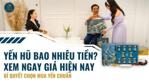 Yến hũ bao nhiêu tiền? Giá yến hũ hiện nay, cách chọn mua chuẩn