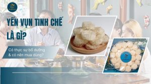 Yến vụn tinh chế là gì? Có thực sự bổ dưỡng và có nên mua dùng
