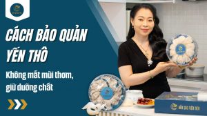 Cách bảo quản yến sào thô không bị mất mùi, giữ dưỡng chất