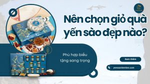 Nên chọn giỏ quà yến sào đẹp nào để biếu tặng sang trọng nhất?