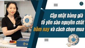 Cập nhật bảng giá tổ yến sào nguyên chất và cách chọn mua