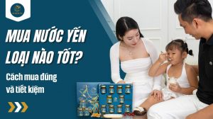 Mua nước yến loại nào tốt hiện nay? Cách mua đúng và tiết kiệm