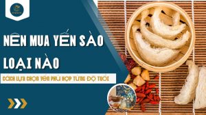 Nên mua yến sào loại nào: Cách lựa chọn yến phù hợp độ tuổi