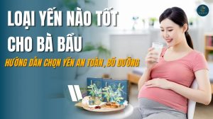 Loại yến nào tốt cho bà bầu: Hướng dẫn chọn yến an toàn