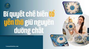 Cách chế biến tổ yến thô giữ nguyên dưỡng chất