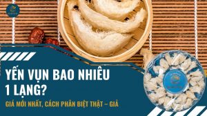 Yến vụn bao nhiêu 1 lạng: Giá mới nhất, cách phân biệt thật giả